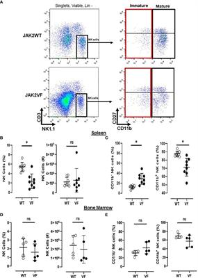 Altered distribution and function of NK-cell subsets lead to impaired tumor surveillance in JAK2V617F myeloproliferative neoplasms